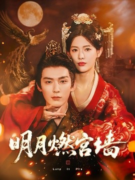 明月燃宫墙