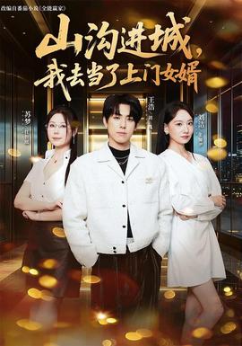 山沟进城,我去当了上门女婿
